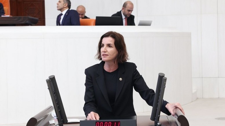 CHP’li Vekil Aliye Coşar yapılmayan projeleri hatırlattı!