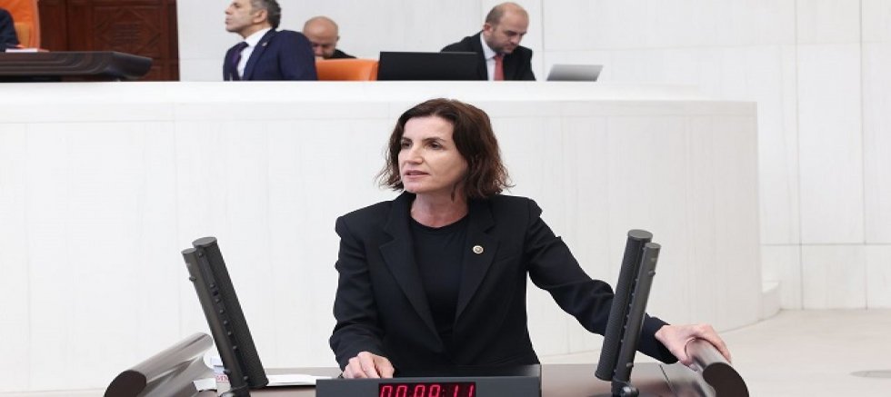 CHP’li Vekil Aliye Coşar yapılmayan projeleri hatırlattı!