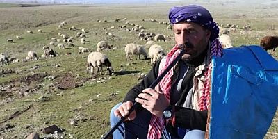 Manavgat’ta hayvancılıkta yenilik!