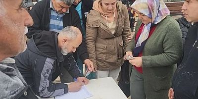 Zeytin ağaçlarıkesilmesin diye imza topladılar